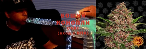 амф Майский