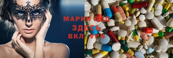 амф Майский