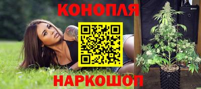 стафф Вышний Волочёк
