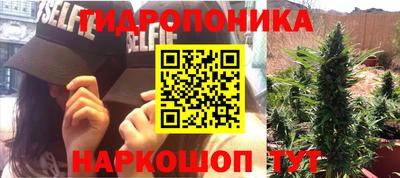 стаф Вязники